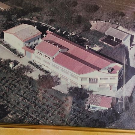 La Nursery De Mas Guillo San Quintin de Mediona Luaran gambar